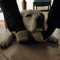Simonetta Bruciati
