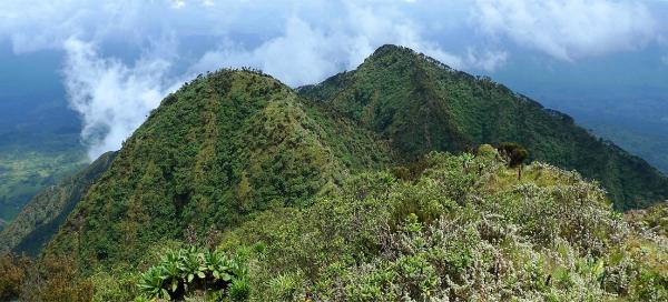 Ascent to volcano Sabyinyo