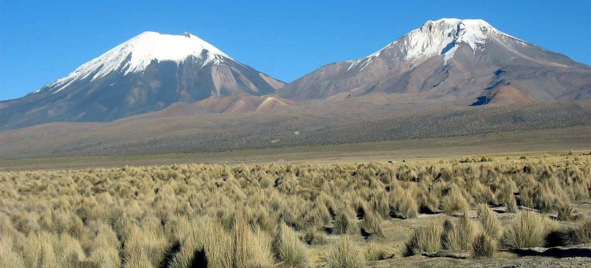 Hike Pueblo Sajama - Fumaroles