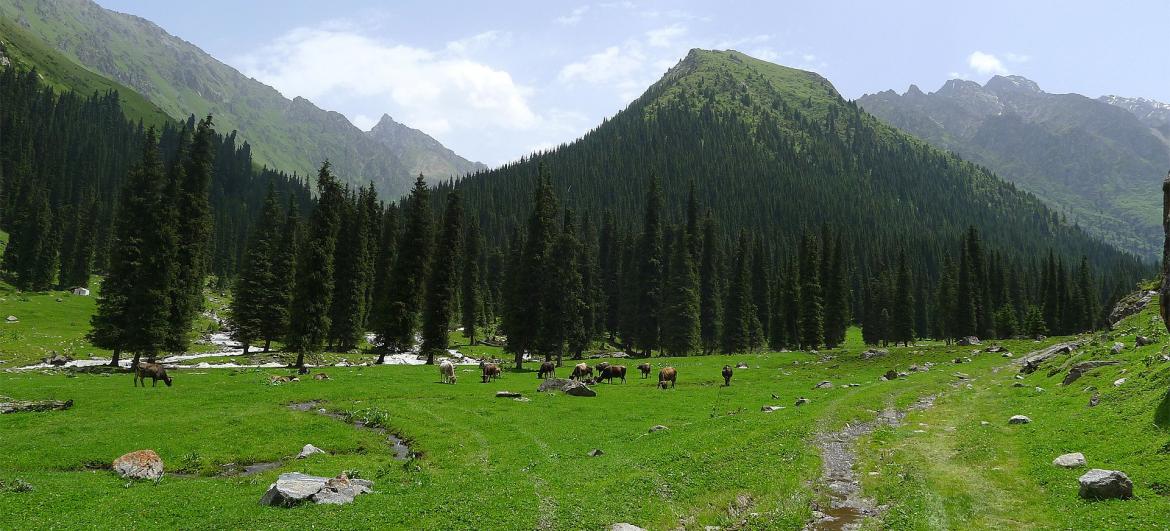 Túra pod horu Karakol