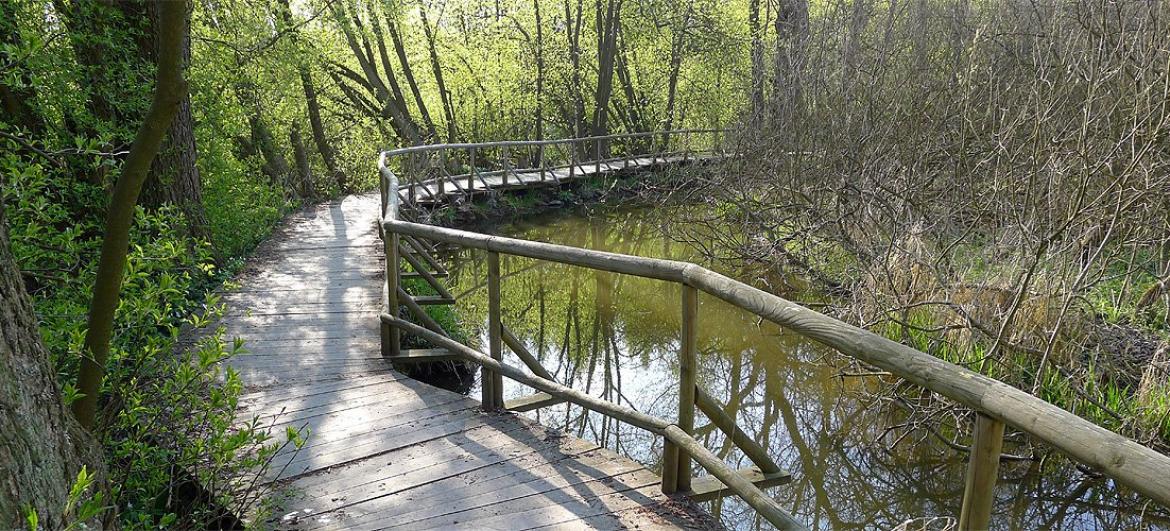 Procházka loukami u Černého lesa