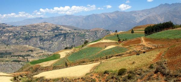 Túra Cashapampa - Hualcayan