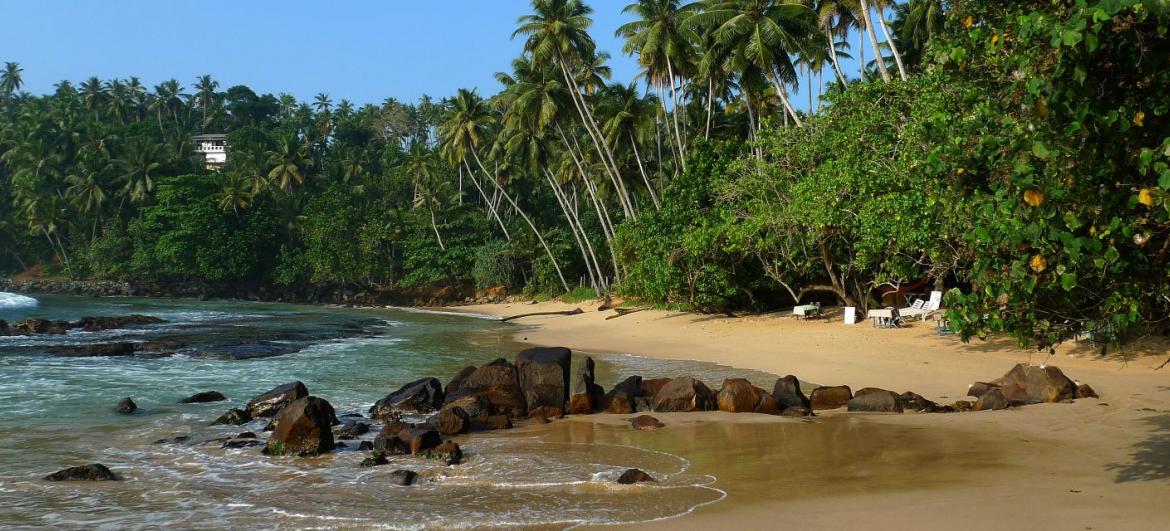 Mirissa beach