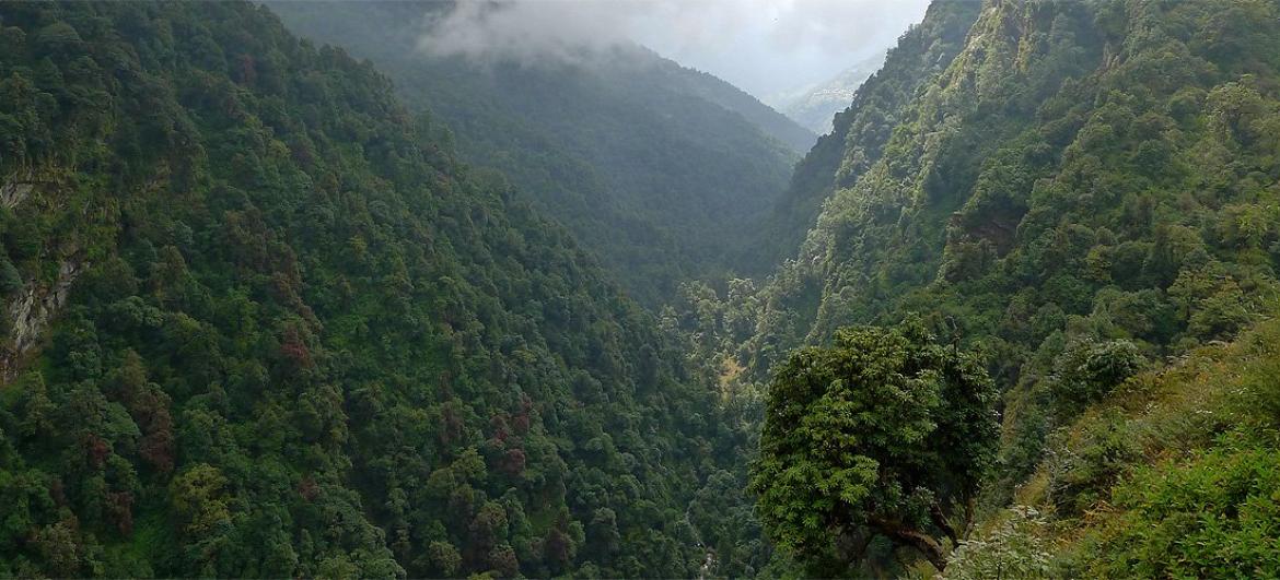 Túra Ghorapani - Tadapani - Ghandruk