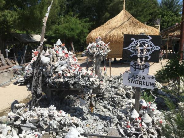 Šnorchlování na Gili
