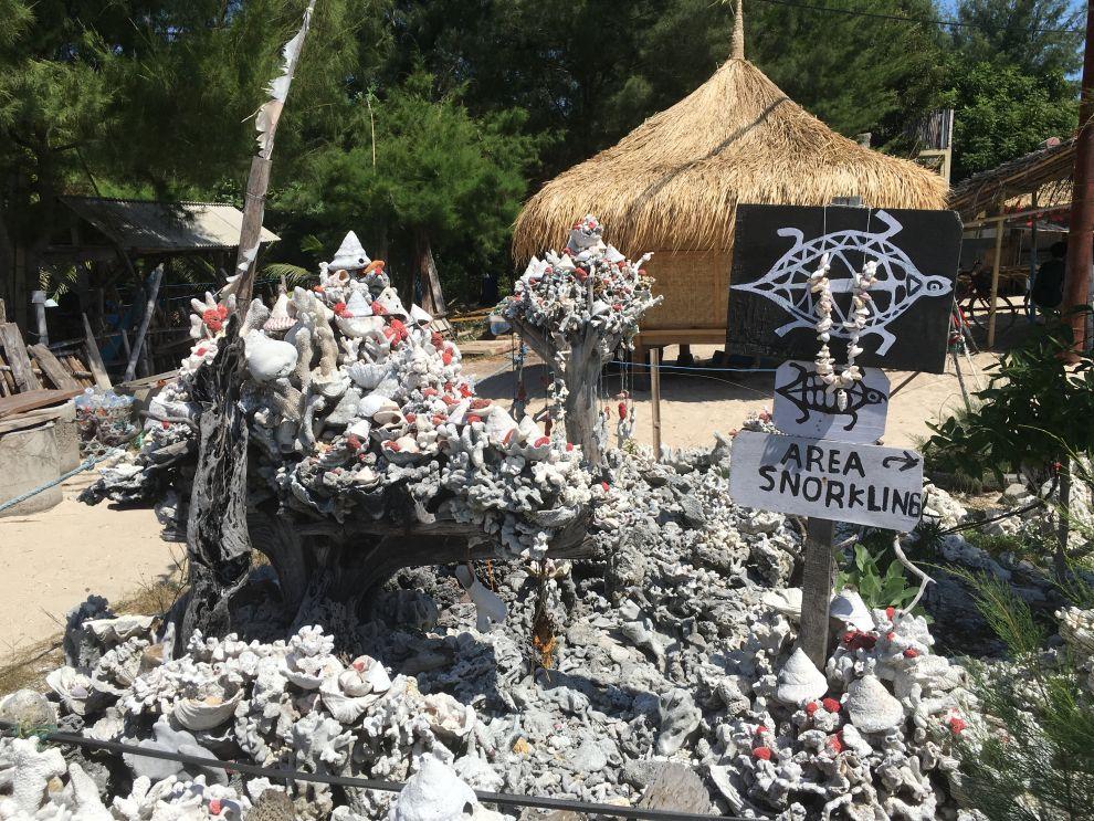 Šnorchlování na Gili