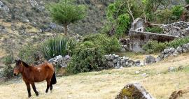 Hike Samaňa Pampa - Challapampa