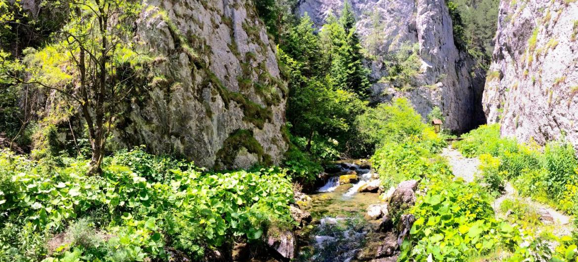 Chočské vrchy