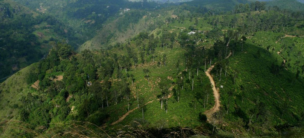 Výstup na Little Adam's Peak
