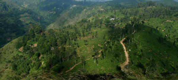 Výstup na Little Adam's Peak