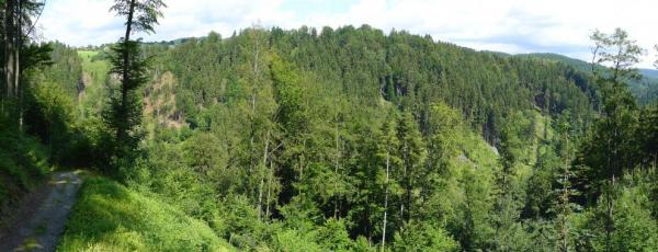 Výhled do údolí Kamenice