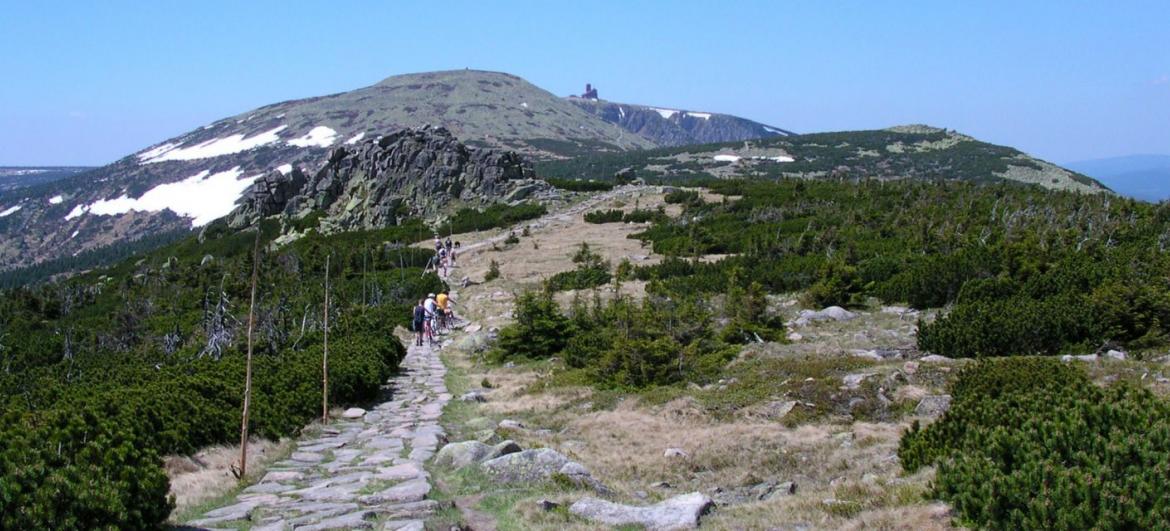 Vysoké Kolo