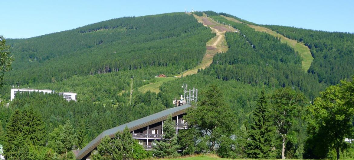 Medvědín: Ostatní