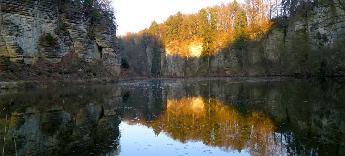 Rybník Obora