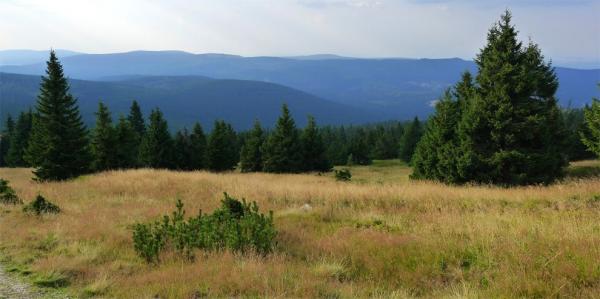 Krajina pod Szrenicou