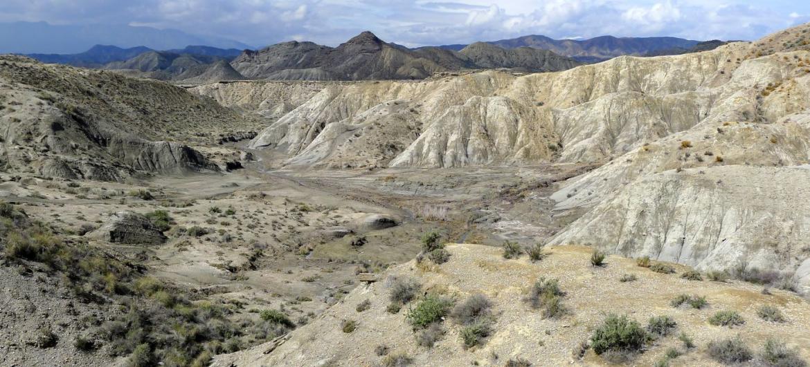 Poušť Tabernas