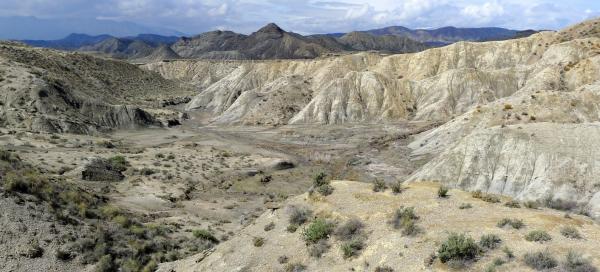 Tabernas desert