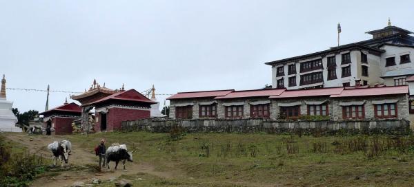 Klášter Tengboche