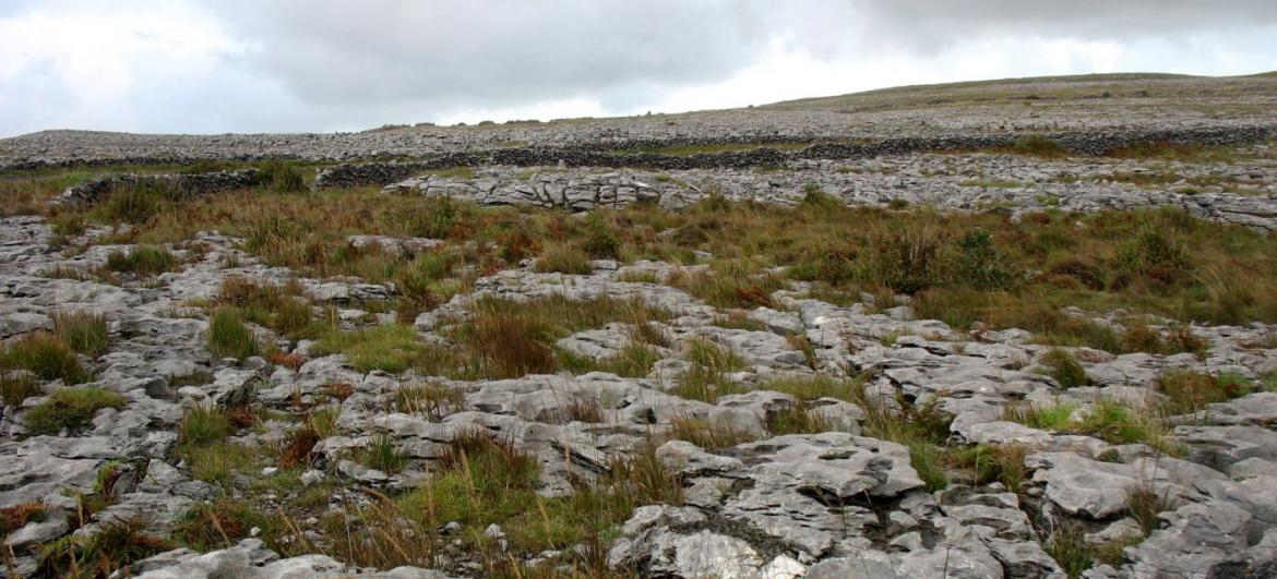 The Burren