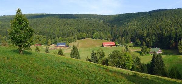 Krajina v okolí Malé Úpy