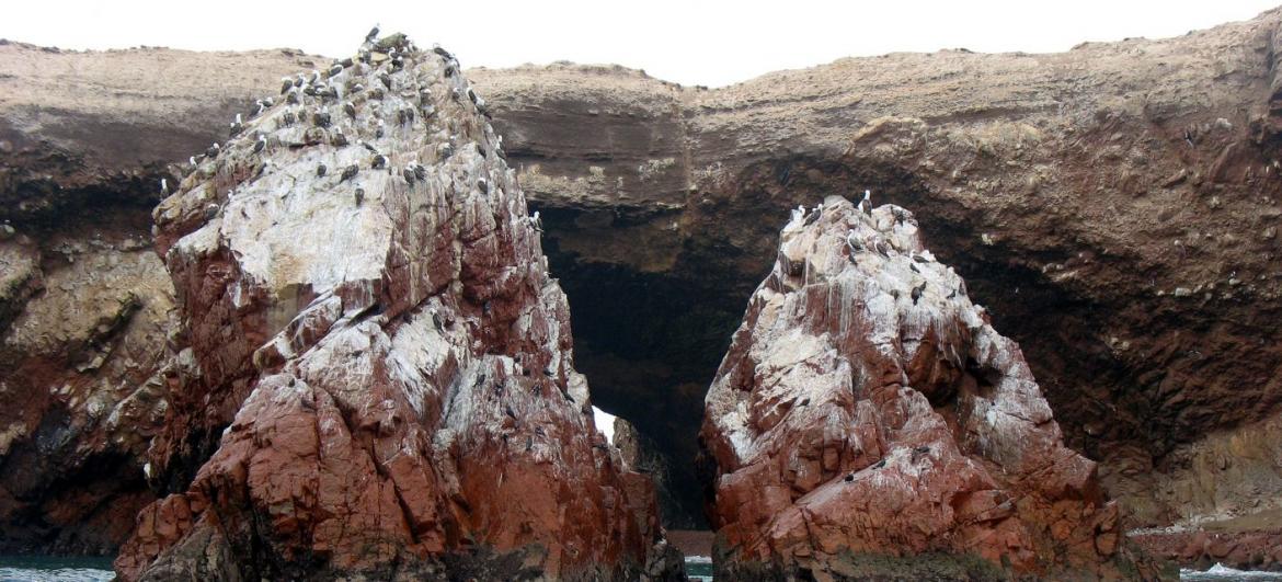 Islas Ballestas
