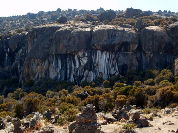 Zebra Rocks