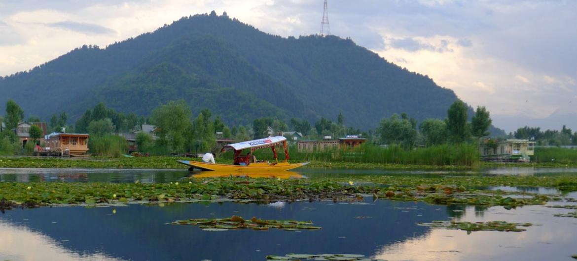 Jezero Dal