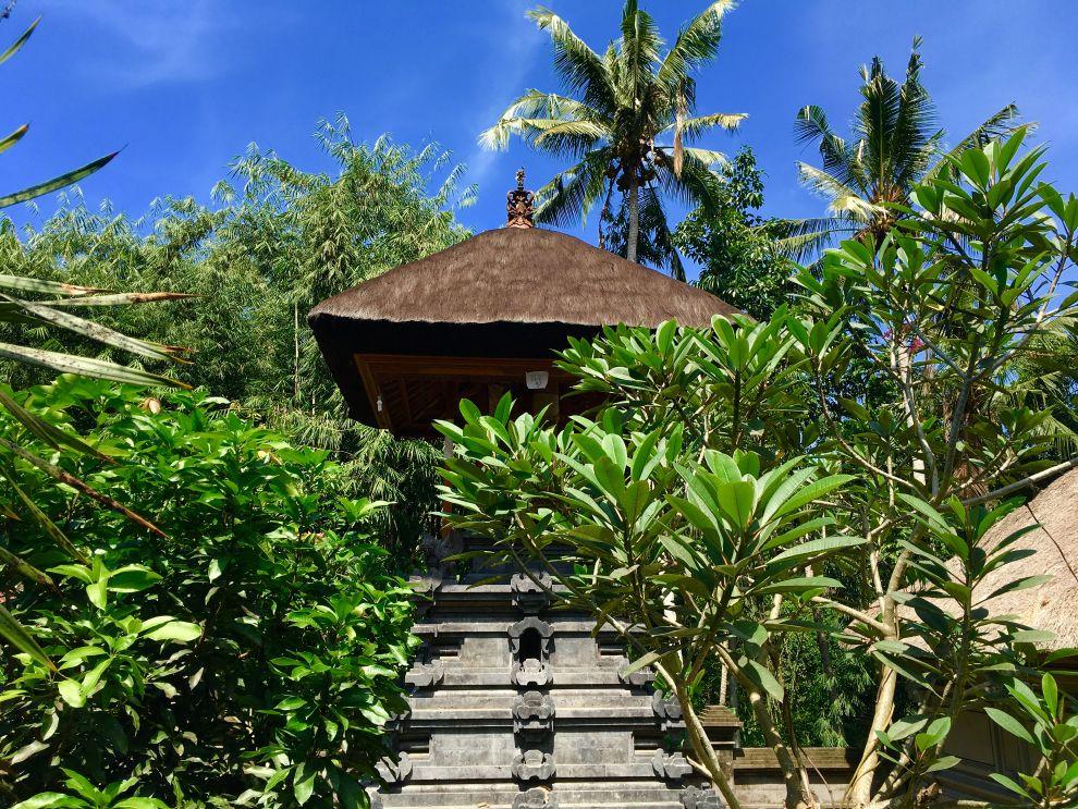 Údolí chrámu Goa Gajah