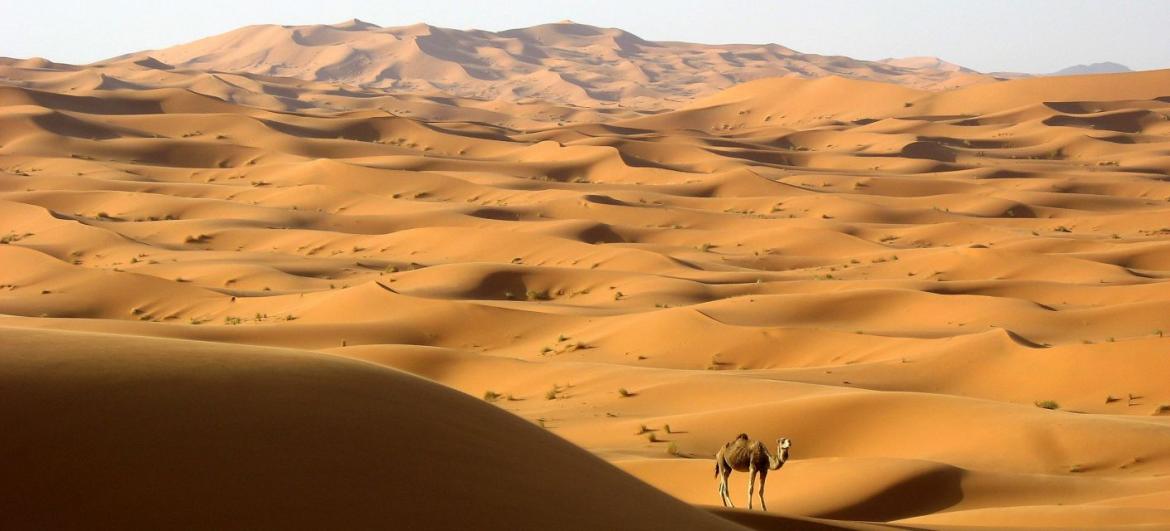 Duny Erg Chebbi