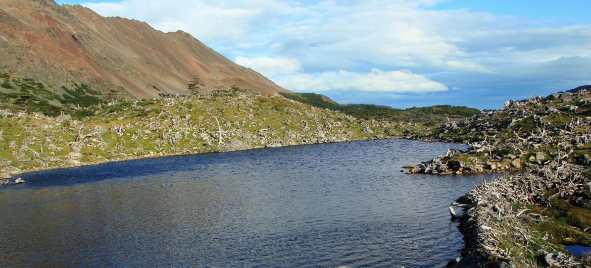 Isla Navarino Trek