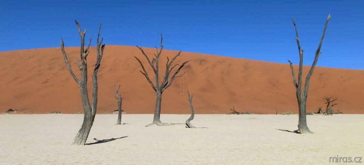 Poušť Namib