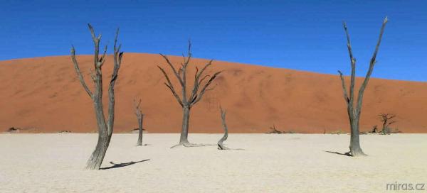Poušť Namib