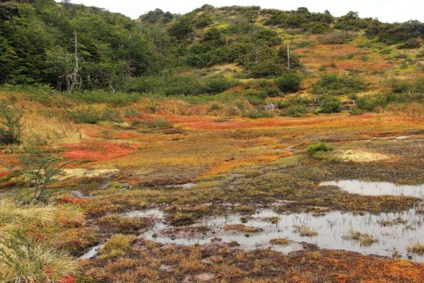 Laguna Martillo - Laguna los Guanacos