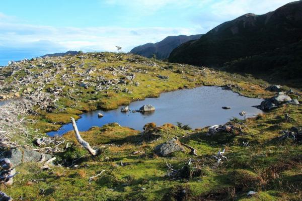Laguna los Guanacos - Puerto Williams
