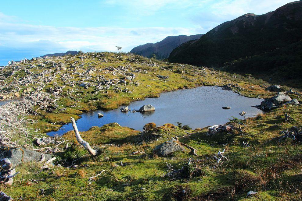 Laguna los Guanacos - Puerto Williams