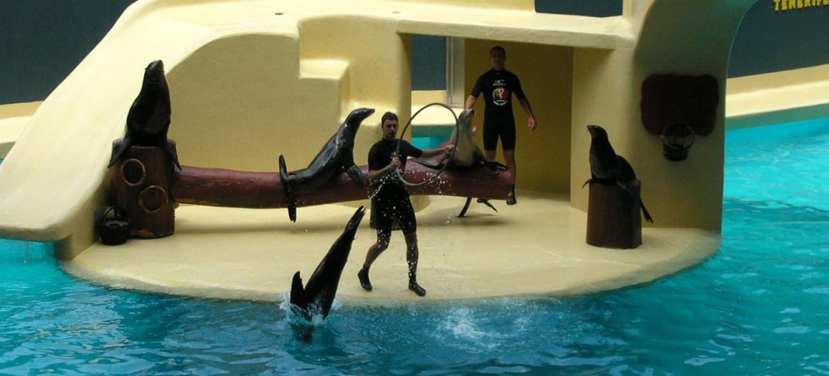 Loro Parque