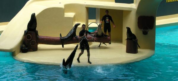 Loro Parque