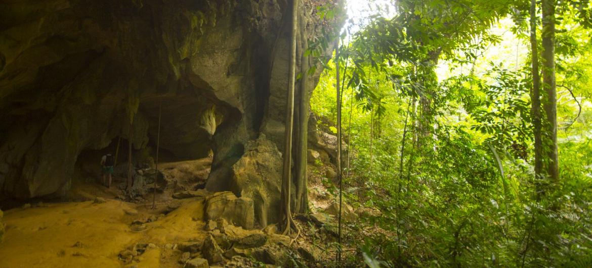 Bat Cave