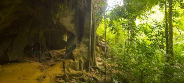 Bat Cave