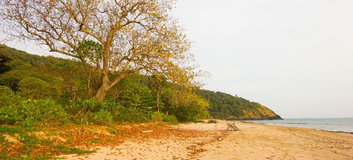 Pláž Bamboo Bay Koh Lanta