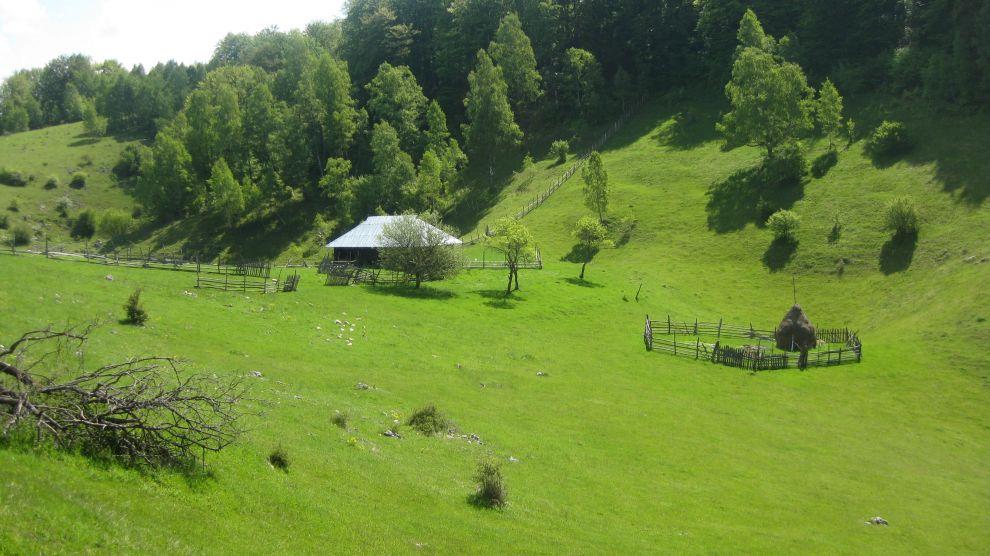 Salaš