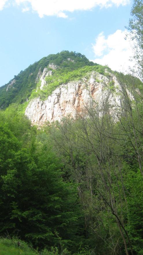 Cetatea Piatra Rosie