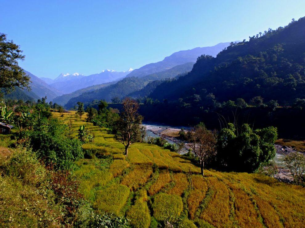 Arughat Bazar