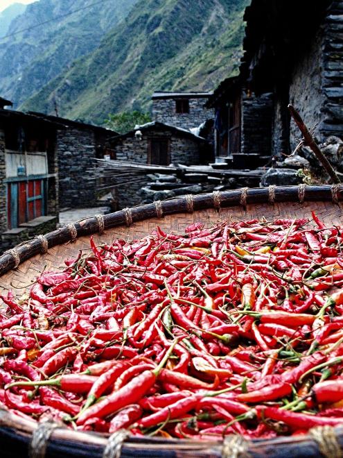 Chilli