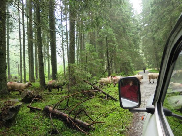 Ekologické poľnohospodárstvo