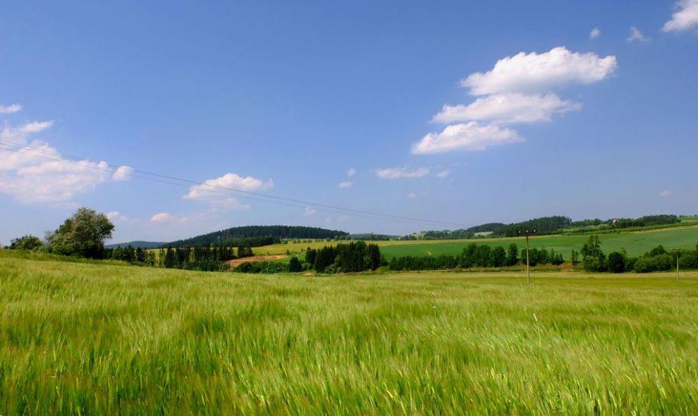 Od Bobrové k Šiklovu mlýnu