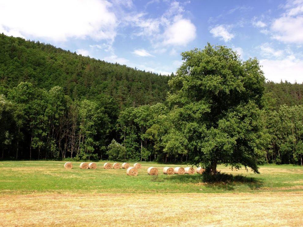 Ze Skryje