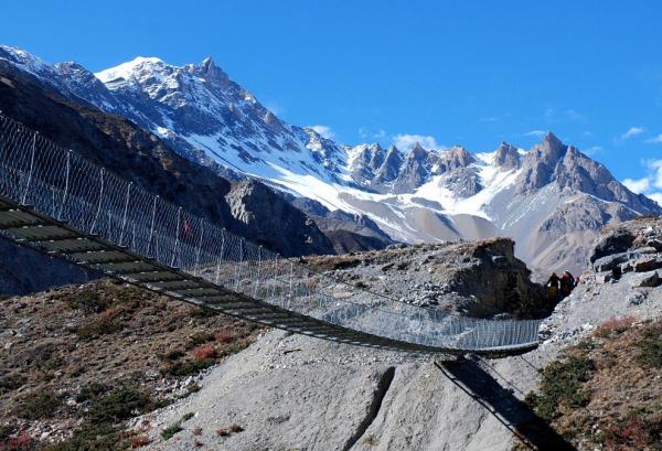 The view from the hanging bridge
