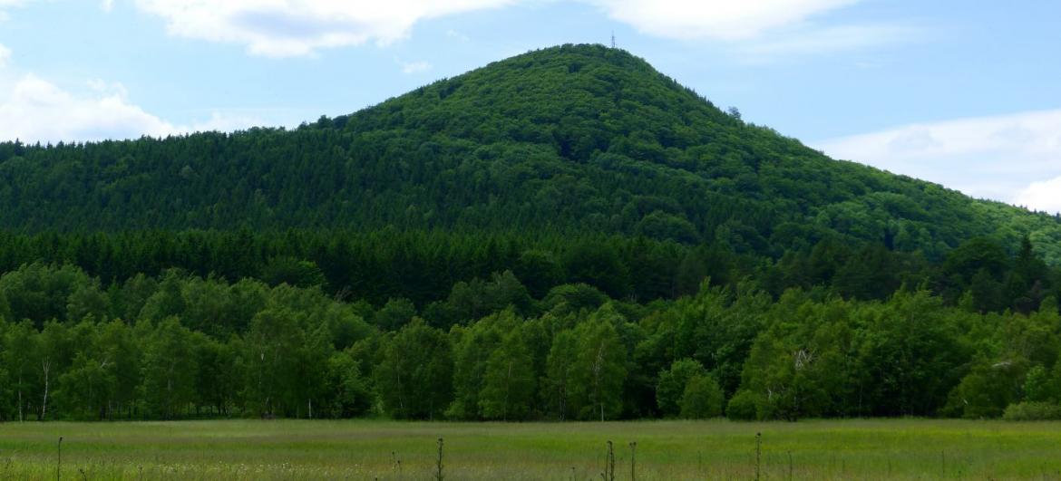 Luž