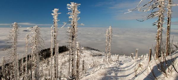 Moravskoslezské Beskydy